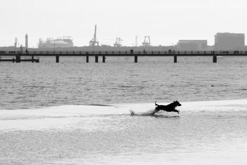 Seebrücke Ahlbeck, Usedom